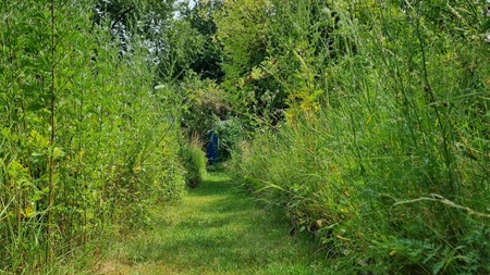 großer Wildkräuterspaziergang - Wildkräuterei Köln