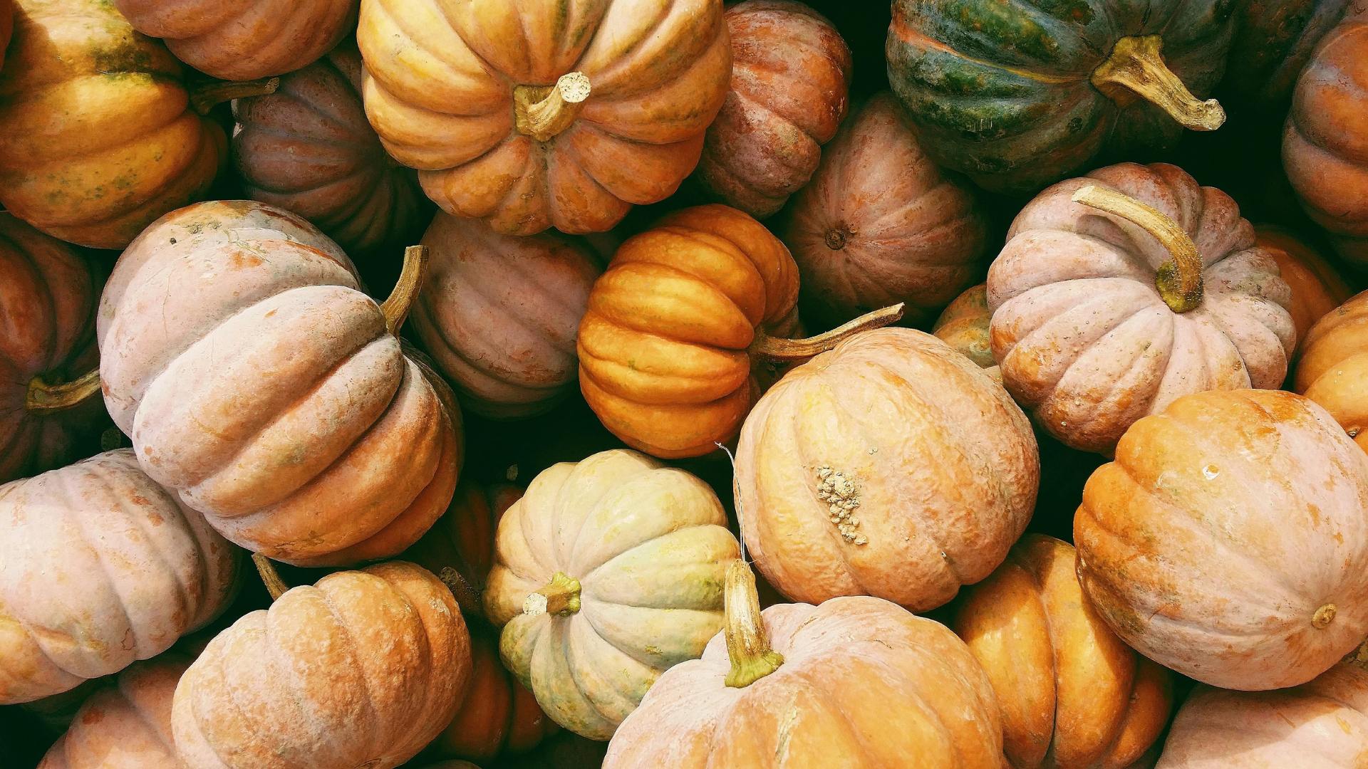 What's happening in Bremen in October 2026?