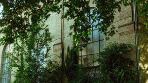 Garten| KOERPER X 3000RAVE