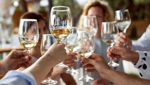 Absolute Beginner - Wein für Einsteiger – Das Genuss-Seminar im Kölner Weinkeller