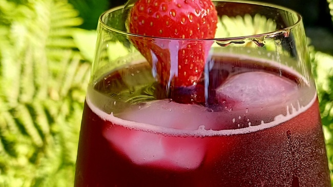 Tee trifft Cocktail Verkostung