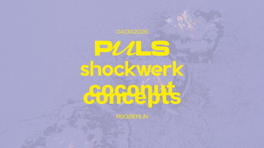 PULS x shockwerk x coconut concepts pres. LAST SUMMER NIGHT
