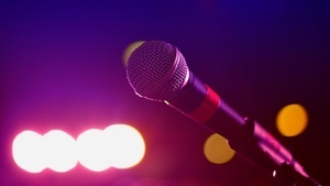 Pudelpunk Song Contest