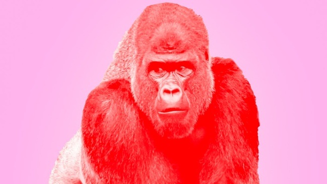 Valerie Neuenfels, Anneke Kim Sarnau & Pip van Eeden — Kaputt in Hallywudd