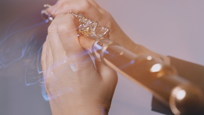 Musikalischer Salon: Rasante Brillanz