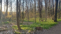 Plänterwald Berlin