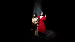 BIRDS ON A WIRE | Frankreich