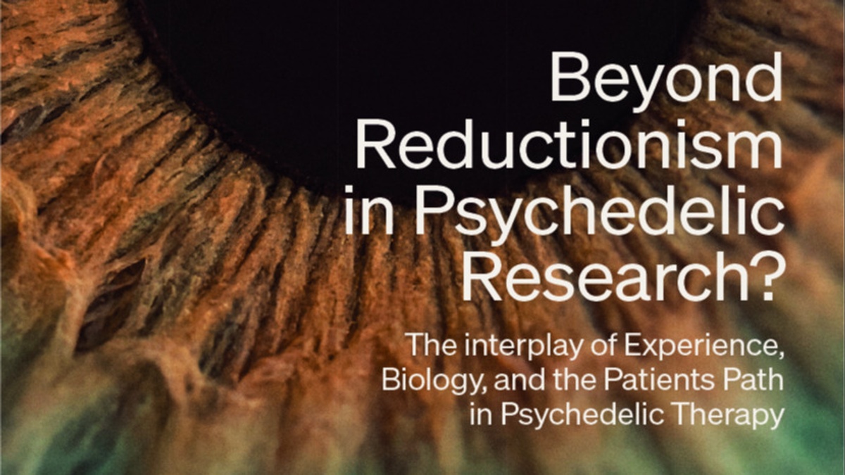 Psychedelic Research & Therapy: Beyond Reductionism?