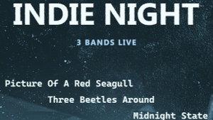 Indie Night