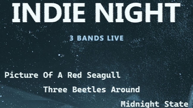 Indie Night