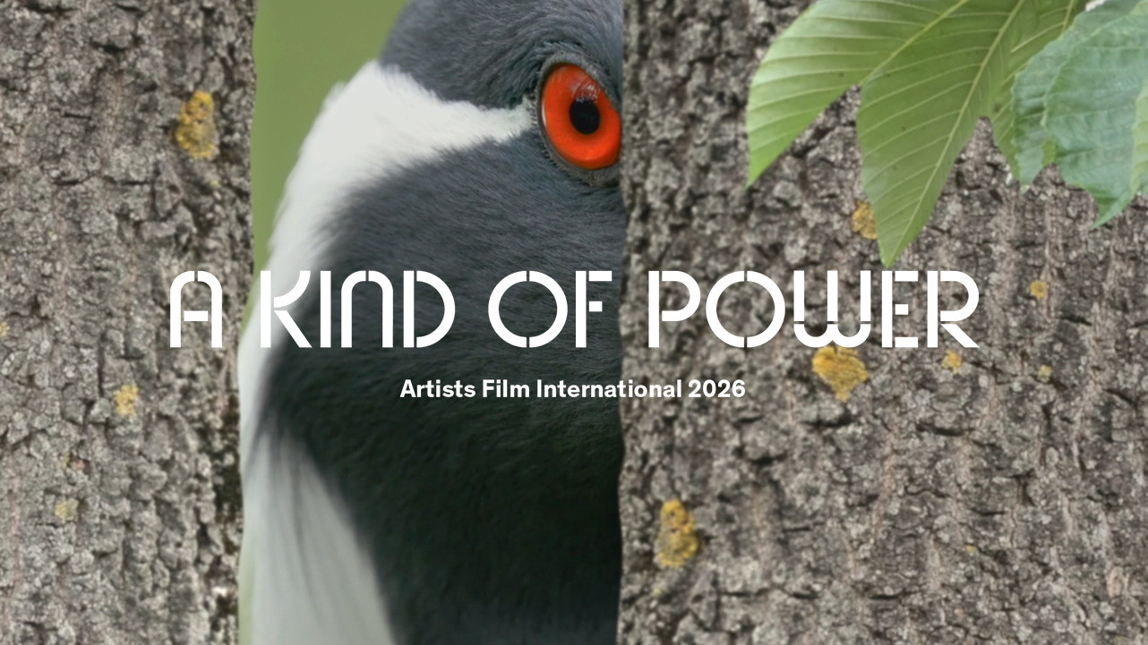 Artists Film International (AFI) 2026: A Kind of Power