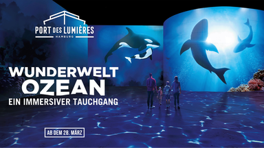 Wunderwelt Ozean: Ein immersiver Tauchgang
