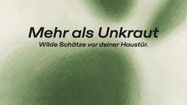 Wildkräuter- Erlebnisabend: Mehr als Unkraut - Wilde Schätze vor deiner Haustür