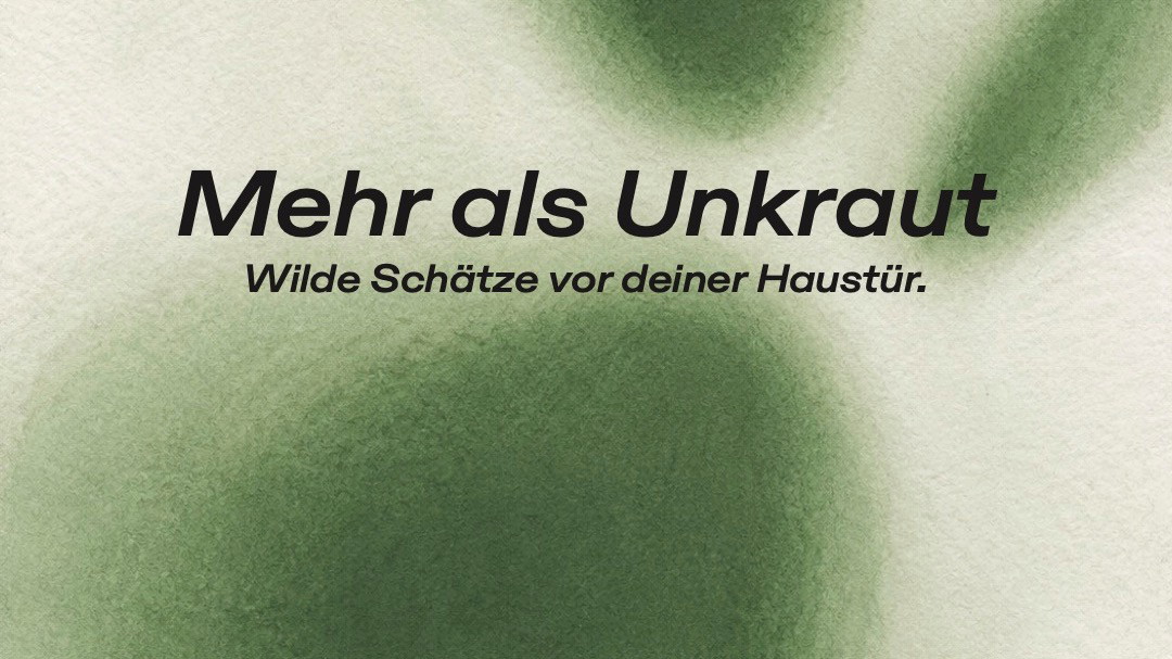 Wildkräuter- Erlebnisabend: Mehr als Unkraut - Wilde Schätze vor deiner Haustür