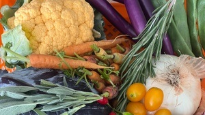 FERMENTATION EASY - MIXED VEGGIE