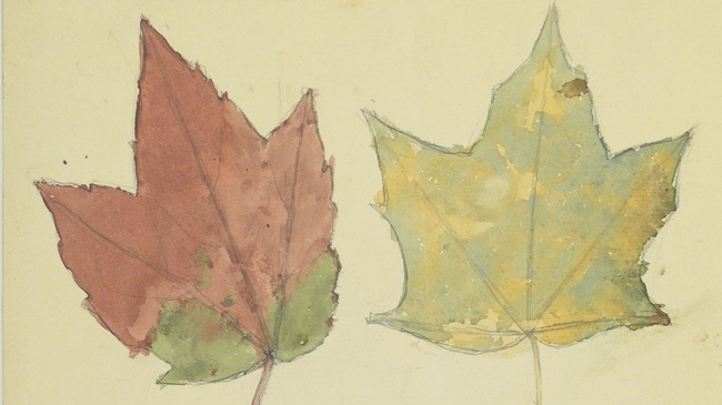 KREATIV WERDEN – VOM BLATT ZUM BILD