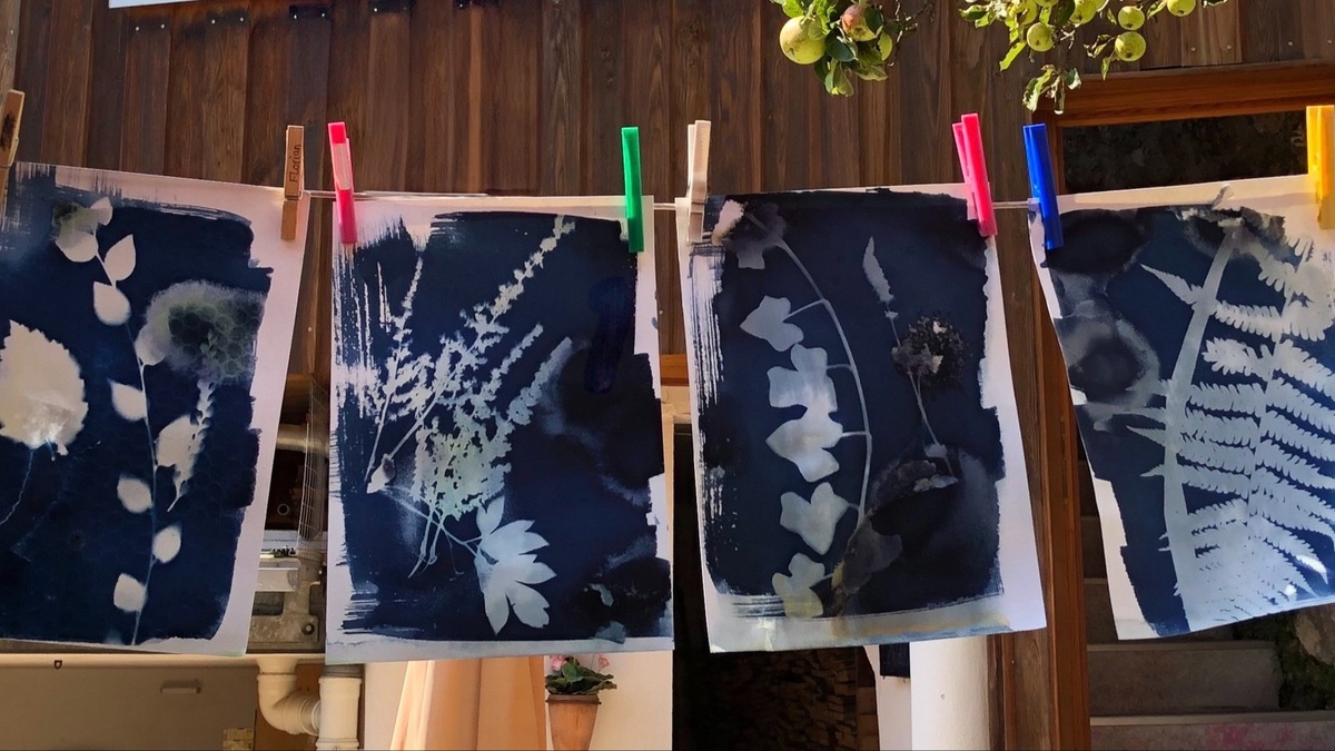 Workshop – Cyanotypie