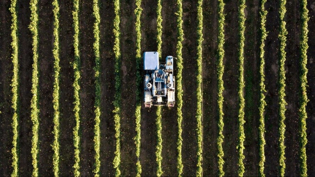 Pflanzen stärken, Zukunft sichern – Forschung für gesunde Ernten
