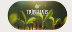 Tribehaus Cover Image