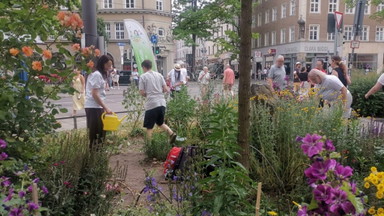 Montags-Garteln am Reichenbachplatz