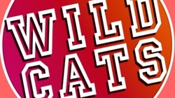 GO WILDCATS PARTY