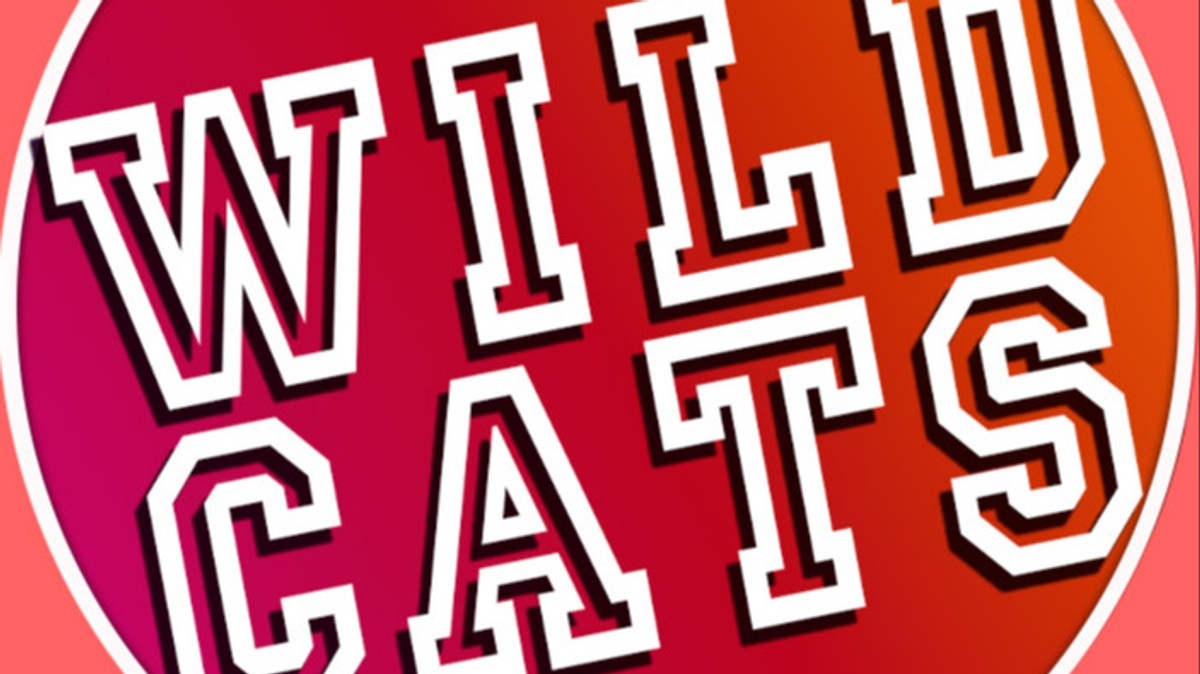 GO WILDCATS PARTY