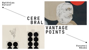 Cerebral Vantage Points – eine Ausstellung zeitgenössischer Kunst von Matthias Bitzer und Vusumzi Nkomo