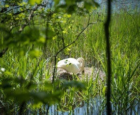 Radtour durch die Villewälder - Natur pur, Badeseen und ein bisschen Kohle