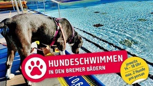 Hundeschwimmen im Freibad Schloßparkbad