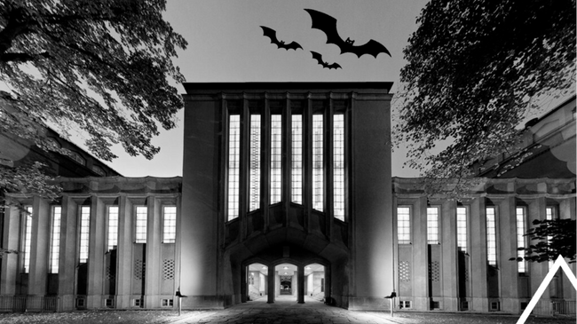 WGT FÜHRUNG Tod, Sterben und Übergänge in der Welt