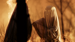 ECHOES. Skin Contact