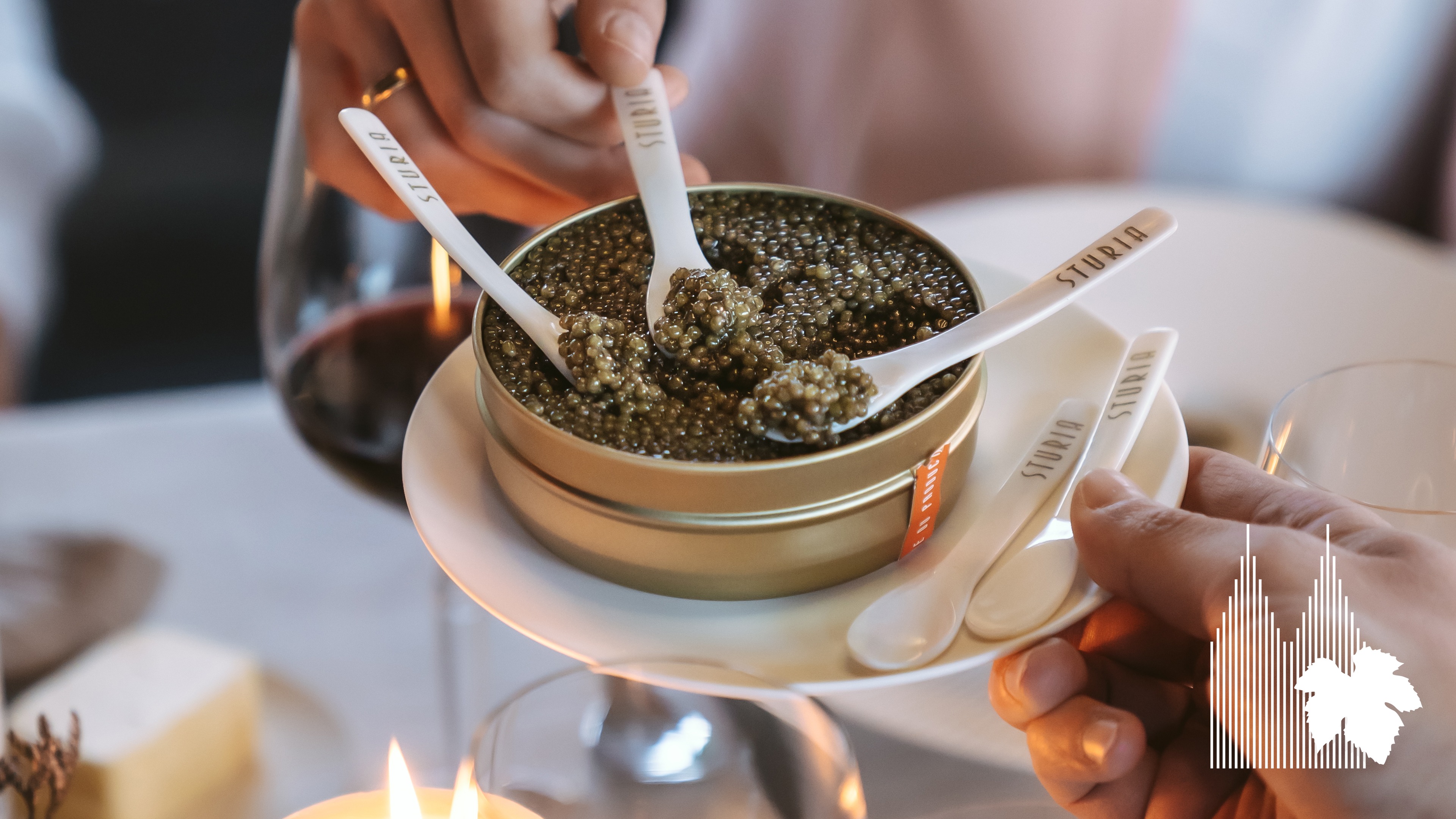 Taste & talk – Food Pairing: Kaviar & Champagner im Kölner Weinkeller