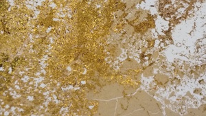 SCUM//EICHELGOLD Grafische Arbeiten Antje Klees
