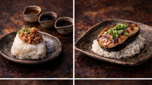 Reise nach Japan - Sake & Fermented Food