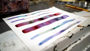 Pflanzentinten herstellen - Natural ink making