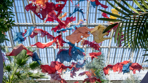 Tuesday Discussion with Nnenna Okore (Environmental Art)