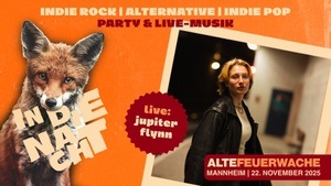 IN DIE NACHT mit jupiter flynn