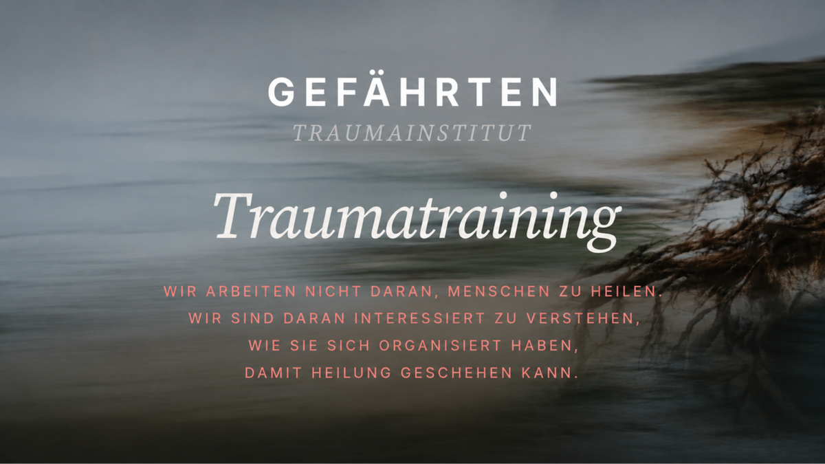 Titelbild der Veranstaltung Gefährten_Jahrestraining: Trauma verstehen – Beziehung gestalten – Menschen sicher begleiten.