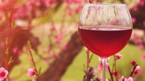 Osterbrunch: Frühlings- & Schaumweine