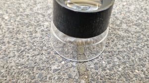 Zero Waste Köln – Stadtnatur und Zero Waste – Wir spazieren durch die Stadt und lernen gemeinsam