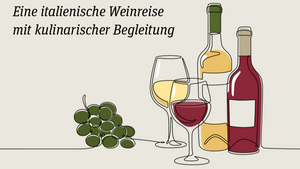 Vino Italiano - Wine Tasting Ackerstraße Flingern