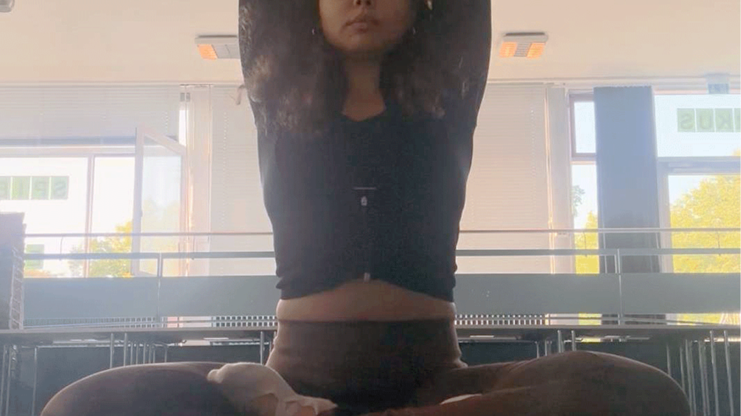YIN & VINYASA YOGA (FORTGESCHRITTENE)