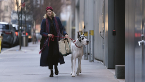 Open-Air Kino: LOYAL FRIEND