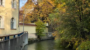 Streifzug durch die Au