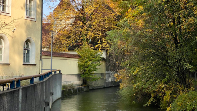 Streifzug durch die Au