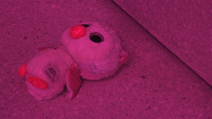 Revue. Über das Sterben der Arten