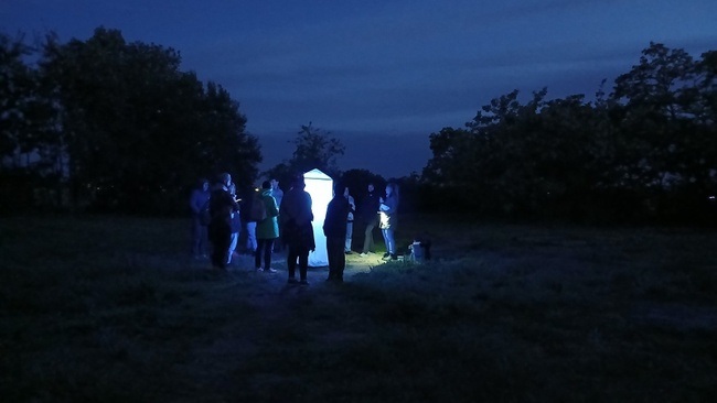 Die verborgene Welt der Nachtfalter auf dem Tempelhofer Feld