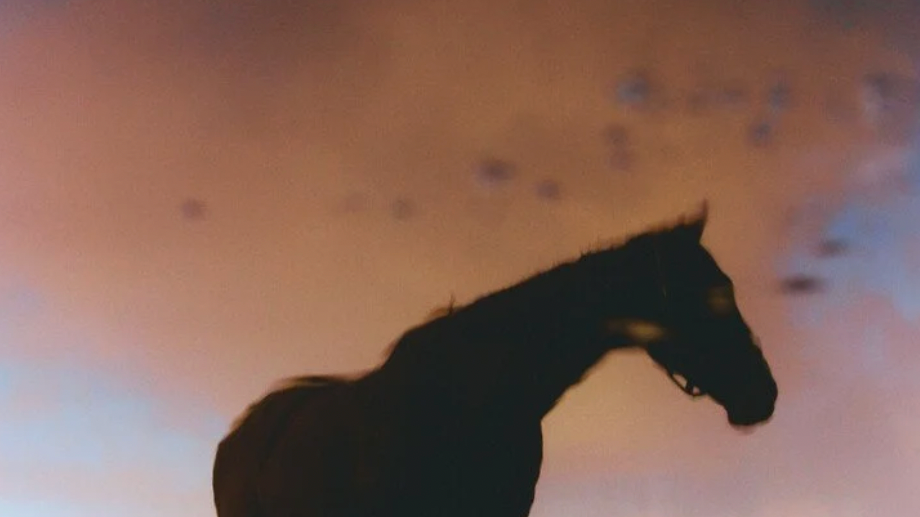 Female Filmmakers Festival Berlin - Short Film Programme: “Next Level”