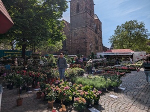 Bremer Blumenmarkt