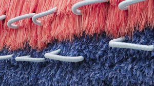 Führung durch die Ausstellung "Translating Traditions - Marlen Letetzki & Desire Moheb-Zandi"